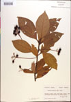 000018473-thumbnail.jpg