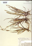 000018490-thumbnail.jpg