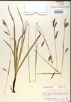 000018492-thumbnail.jpg