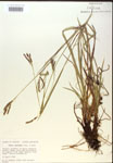 000018493-thumbnail.jpg