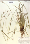000018494-thumbnail.jpg