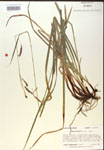 000018495-thumbnail.jpg