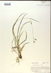 000018496-thumbnail.jpg