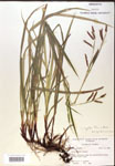 000018497-thumbnail.jpg