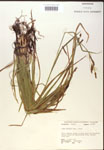 000018498-thumbnail.jpg