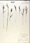 000018500-thumbnail.jpg