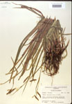 000018501-thumbnail.jpg