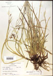 000018502-thumbnail.jpg