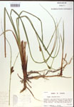 000018532-thumbnail.jpg