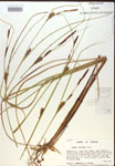 000018533-thumbnail.jpg