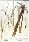 000018534-thumbnail.jpg