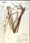 000018536-thumbnail.jpg