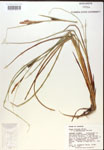 000018537-thumbnail.jpg
