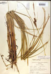 000018538-thumbnail.jpg