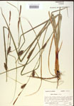 000018539-thumbnail.jpg