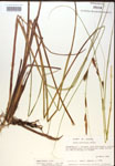 000018540-thumbnail.jpg