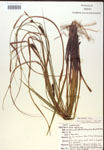 000018541-thumbnail.jpg