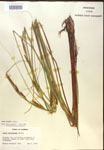 000018542-thumbnail.jpg