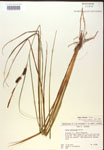 000018544-thumbnail.jpg