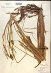 000018545-thumbnail.jpg