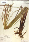 000018546-thumbnail.jpg