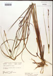 000018547-thumbnail.jpg