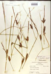 000018548-thumbnail.jpg