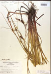 000018549-thumbnail.jpg