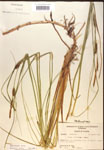 000018550-thumbnail.jpg