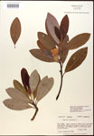 000018600-thumbnail.jpg