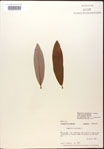 000018601-thumbnail.jpg