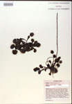 000018614-thumbnail.jpg