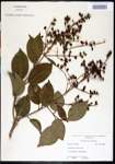 000018633-thumbnail.jpg