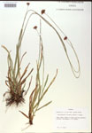 000018634-thumbnail.jpg