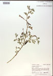 000018643-thumbnail.jpg