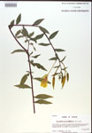 000018649-thumbnail.jpg
