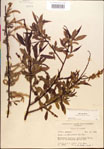000018675-thumbnail.jpg