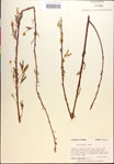 000018677-thumbnail.jpg