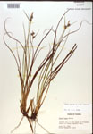 000018746-thumbnail.jpg