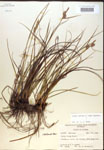 000018747-thumbnail.jpg