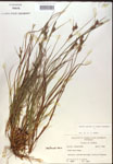 000018748-thumbnail.jpg
