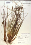 000018749-thumbnail.jpg