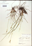 000018751-thumbnail.jpg
