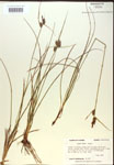 000018752-thumbnail.jpg
