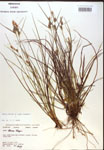 000018753-thumbnail.jpg