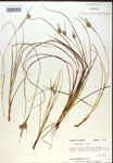 000018754-thumbnail.jpg