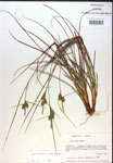 000018755-thumbnail.jpg