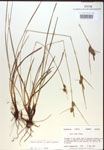 000018756-thumbnail.jpg