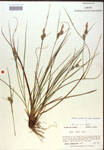 000018757-thumbnail.jpg