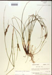 000018758-thumbnail.jpg